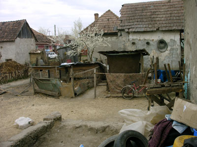 Klik hier om het gehele fotoalbum te bekijken